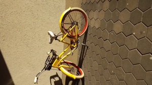 Fahrrad Bild 2