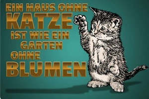 2 weibliche Babykatzen gesucht