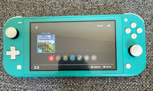 Nintendo Switch Lite