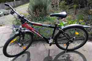 Mountainbike gebraucht 26'