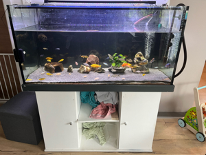 Aquarium 350L