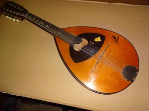 Verkaufe 1 Mandoline von Framus