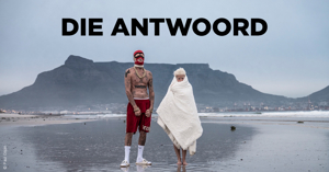 Die Antwoord