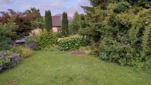 1 Mitbewohner in ab 1.5.24 gesucht für Haus WG mit Terrasse und Garten in Feldkirch Altenstadt Bild 3