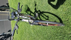 Damenrad Fahrrad Grösse M 165 - 175 cm Bild 3