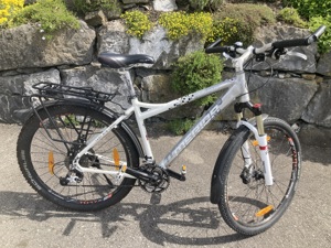 Sportliches Damen-Trekkingbike