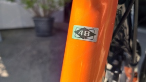 Mountainbike KTM Carbon Bild 5