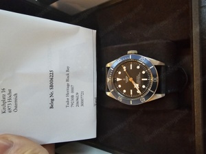 Tudor blackbay