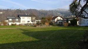 Baugrundstück in Schwarzach zu verkaufen Bild 2