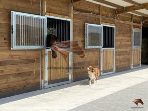 Komplette Stallanlagen mit Stallgasse - Bau von Pferdeställen, Außenboxen, Pferdeboxen, Offenstall, Bild 3
