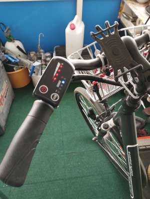 E-Bike,e-control System VENICE Bild 2