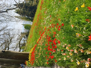 Brauchen Sie Hilfe im Garten? 