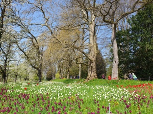 Erledige Gartenarbeiten sauber und gründlich