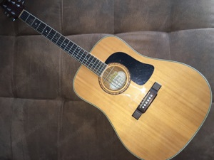 Washburn Western Gitarre! Bild 1
