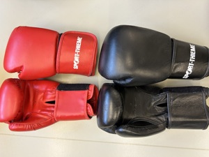 Boxhandschuhe