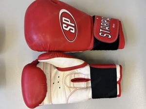 Boxhandschuhe