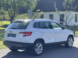 Skoda Karoq 2018 Bild 8