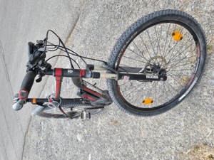 E - Bike Treck Bild 2