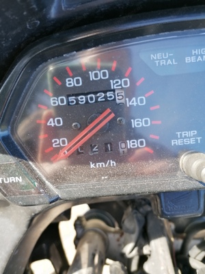 Motorrad Honda dominator 500  Bild 5