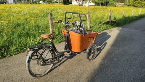 Lastenfahrrad mit Neigefunktion Bild 3