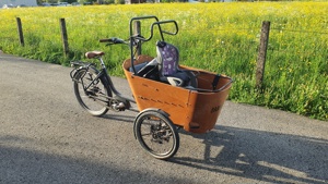 Lastenfahrrad mit Neigefunktion Bild 4