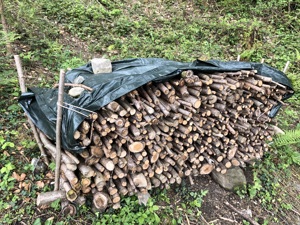 Brennholz, Äste ca.70-100 cm lang