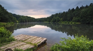 Weiher zur Pacht gesucht