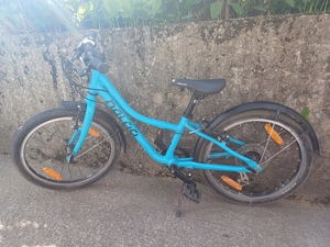 Naloo 20 Zoll Fahrrad