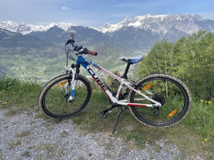 Mountainbike 24