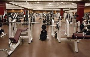 Sie sind sportlich? Vielleicht Fitnesstrainer:in?   Dann suchen wir genau Sie!