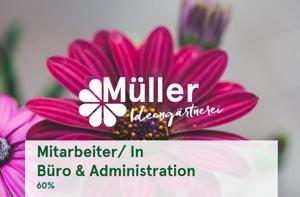 Mitarbeiter In Büro & Administration 60%