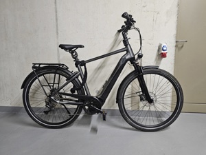 Herren Ebike Pegasus Premio EVO 10 Lite