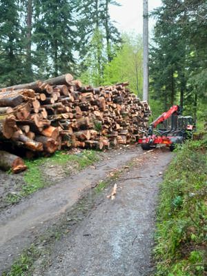 Brennholz zu verkaufen.