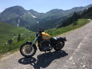 Harley Davidson Sportster 1200 R Bild 5