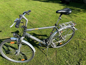 Herren Fahrrad