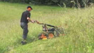 Rasenmähen und Rasenpflege. Mähen von Gras auf eine Höhe bis 100cm Bild 1