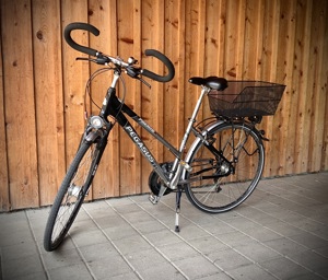 Pegasus Damenrad - Top ausgestattet, top gepflegt - Fahrrad Bild 1