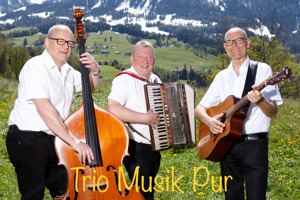Trio Musik Pur