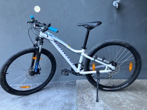 Mountainbike Specialized Jynx