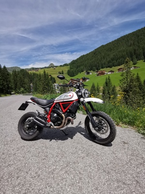 Ducati Scrambler Desert Sled