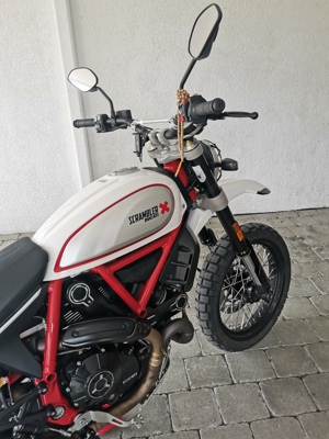 Ducati Scrambler Desert Sled Bild 4