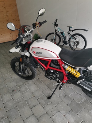 Ducati Scrambler Desert Sled Bild 3