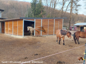 Pferdestall - Aussenbox, Pferdebox, Offenstall kaufen, Unterstand, Pferdeunterstand, Weideunterstand Bild 7