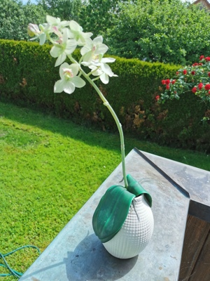 Orchidee in Keramikübertopf (Kunstblume)