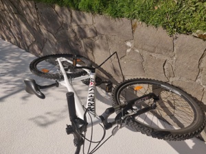 Fahrrad (Kraftstoff Mountenbike) Bild 1