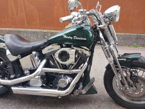 Harley Davidson, Softail mit Springer Gabel Bild 4