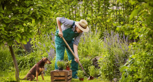 Ich suche eine Anstellung im Bereich Gartenarbeit