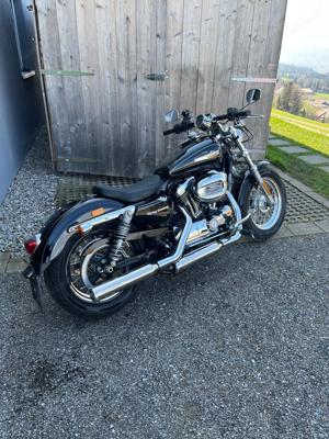 Harley Davidson Einzelanfertigung Motorrad Sitz