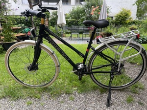 Procycle Damenfahrrad