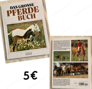 Pferde Buch 